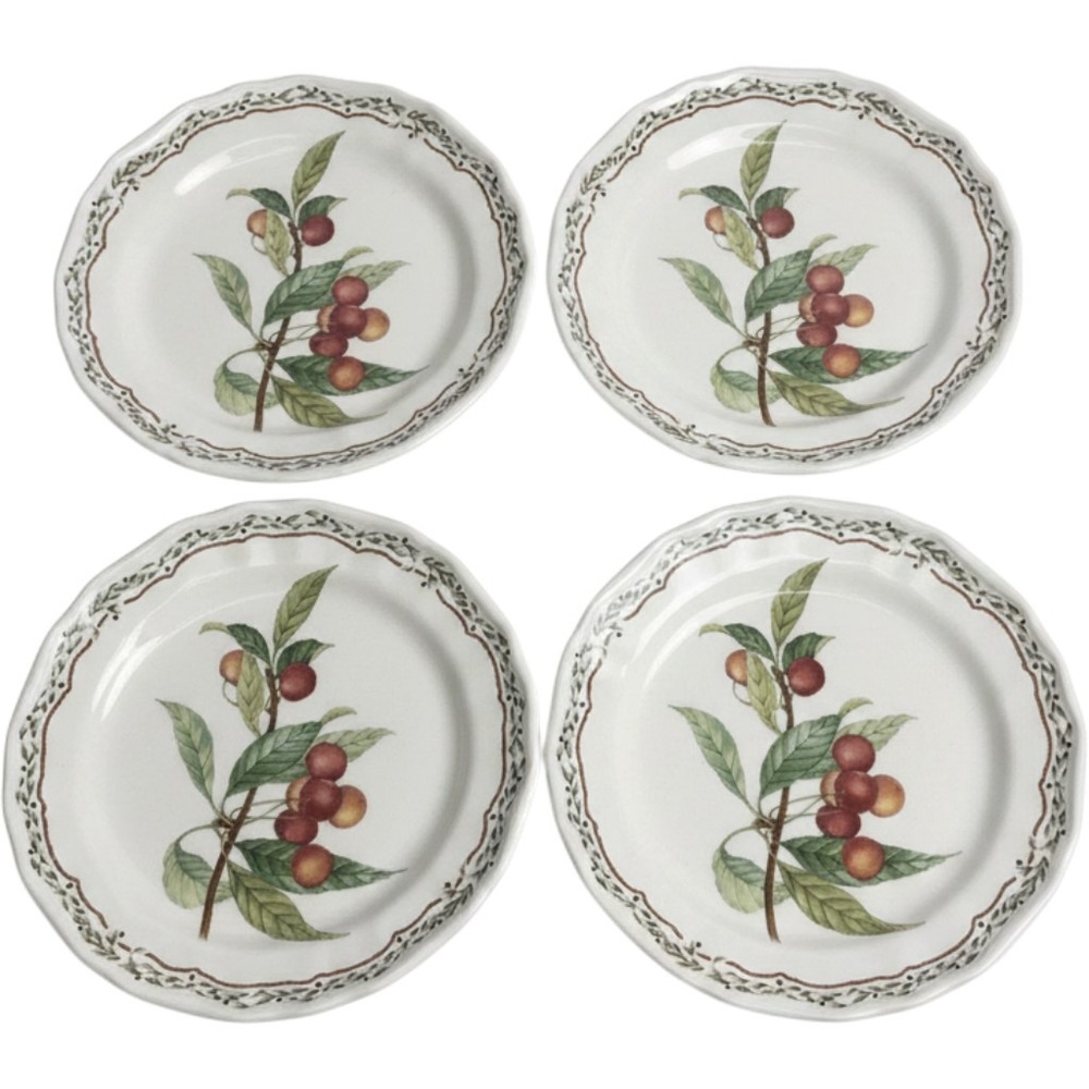 Noritake Casual Gourmet Harvest 7941‎ Salad Plates Set of 4 Scalloped Stoneware